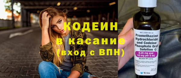 ешки Арсеньев