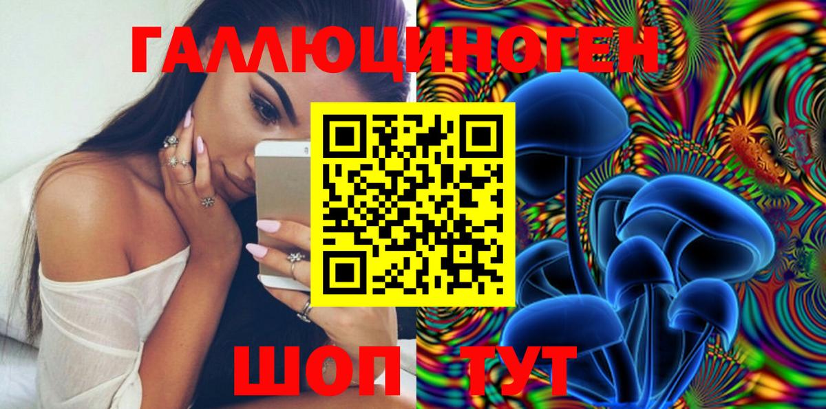 Галлюциногенные грибы Magic Shrooms  Псилоцибиновые грибы Cubensis  Георгиевск  Вход с VPN 