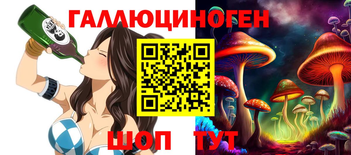 Псилоцибиновые грибы Psilocybe Георгиевск